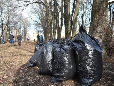 Ярославцы просят вывести мешки с мусором, которые теперь «украшают» город Новости Ярославля 