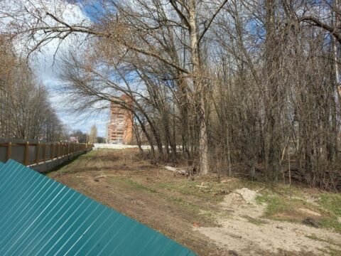 В Ярославле полным ходом вырубают деревья напротив велодрома Новости Ярославля 