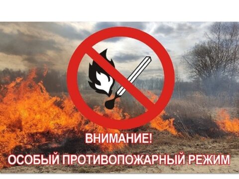 В Ярославской области на 21 день введен особый противопожарный режим Новости Ярославля 